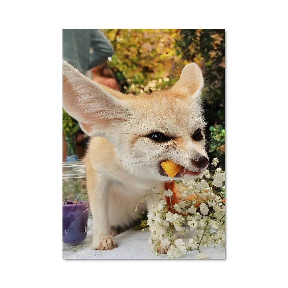 Poster Fennec Gourmet