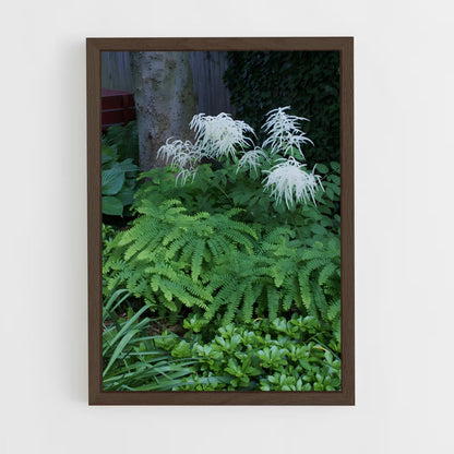 ap-ferns-7 cadre Bois foncé