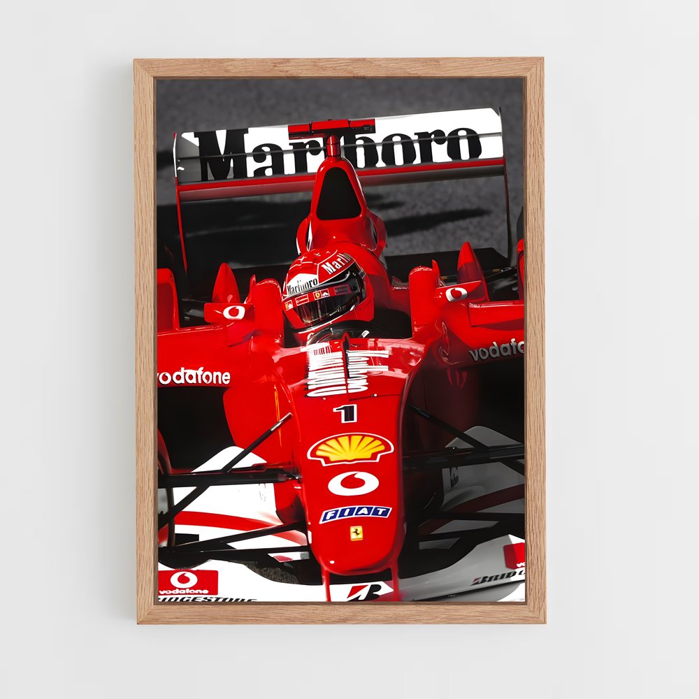 ap-ferrari f2004-4 cadre Bois clair