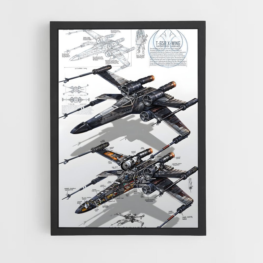 ap-fictional aircraft-3 cadre Noir