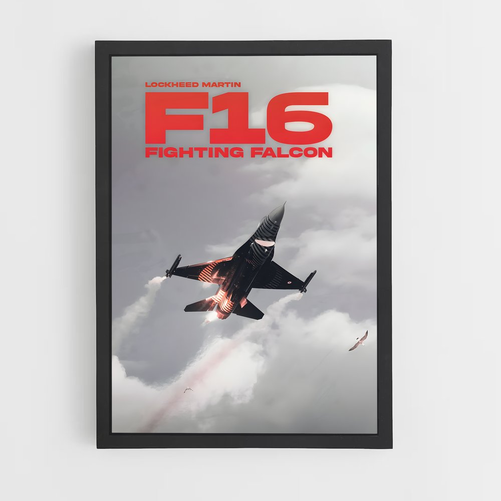 ap-fighter jets-10 cadre Noir