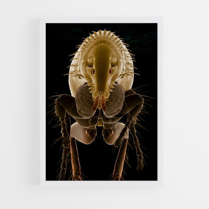 ap-flea-7 cadre Blanc