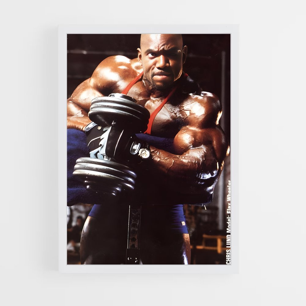 ap-flex wheeler-2 cadre Blanc