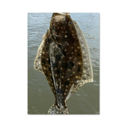 Poster Croche de Mer