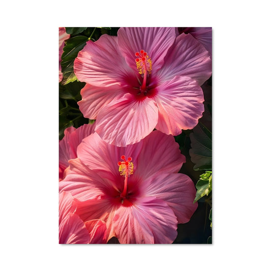 Poster Pétales Rose