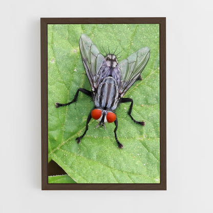 ap-fly-5 cadre Bois foncé