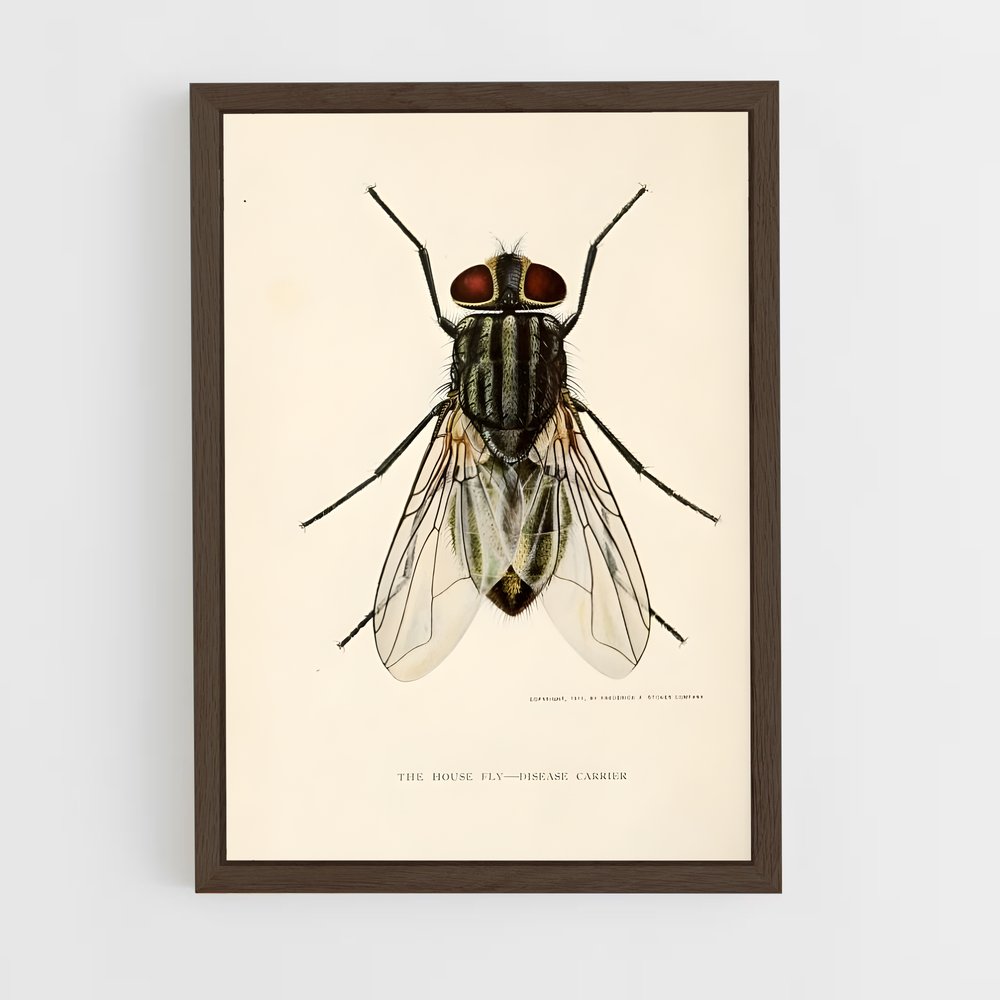 ap-fly-6 cadre Bois foncé