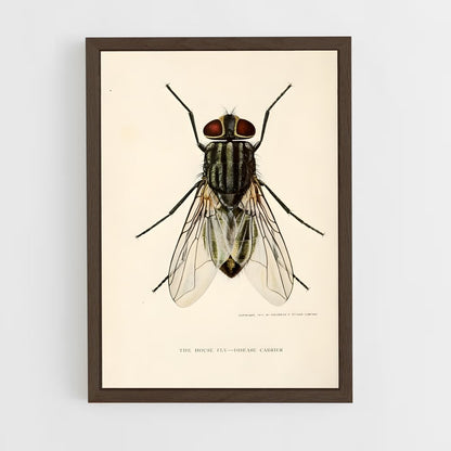 ap-fly-6 cadre Bois foncé