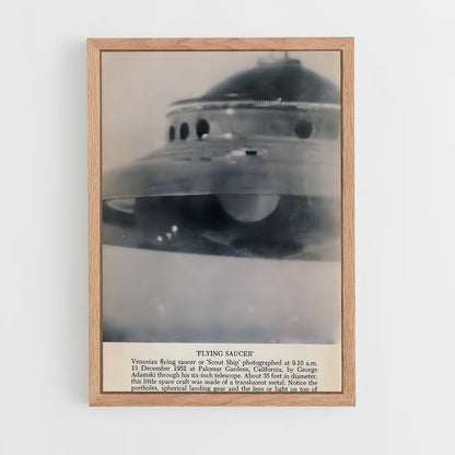 ap-flying saucer-4 cadre Bois clair