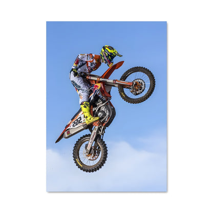 Poster Trickster de la FMX