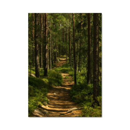 Poster Forest 94914