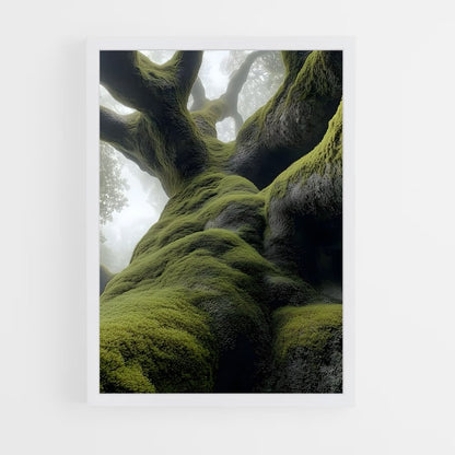 ap-forest moss-6 cadre Blanc