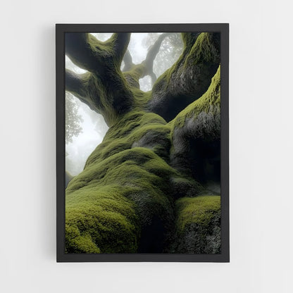 ap-forest moss-6 cadre Noir