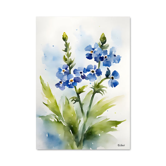 Poster Forget-me-not 96546