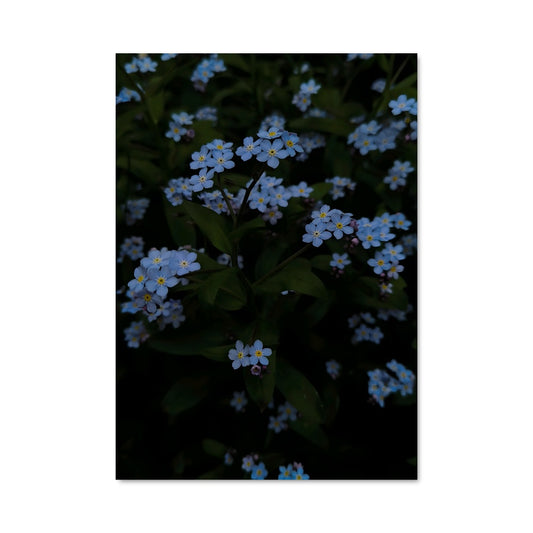 Poster Souvenirs Évanescents