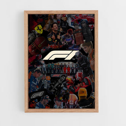 ap-formula 1-13 cadre Bois clair