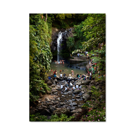 Poster Évasion dans la Jungle