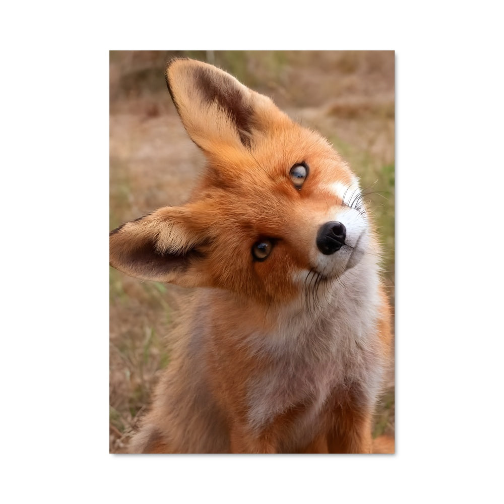 Poster Yeux d'Azur