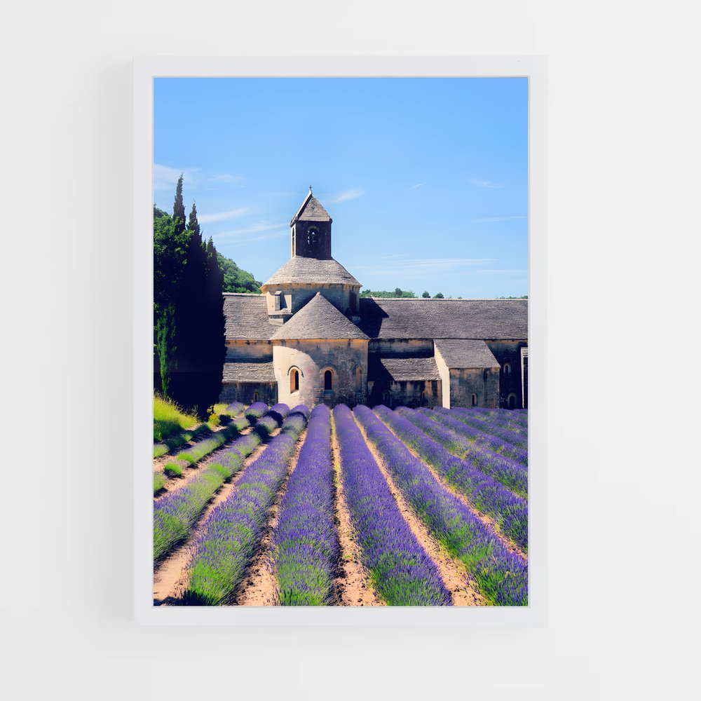 ap-france-5 cadre Blanc