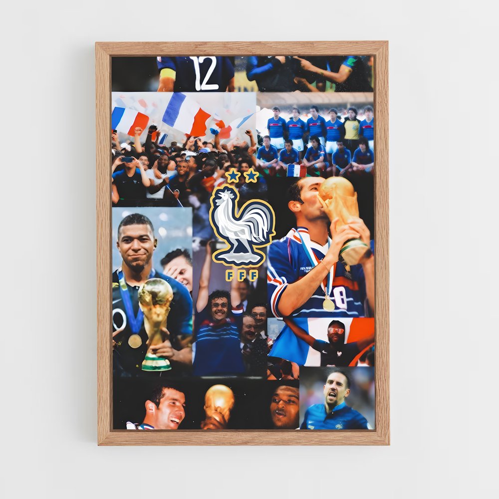 ap-france national football team-3 cadre Bois clair