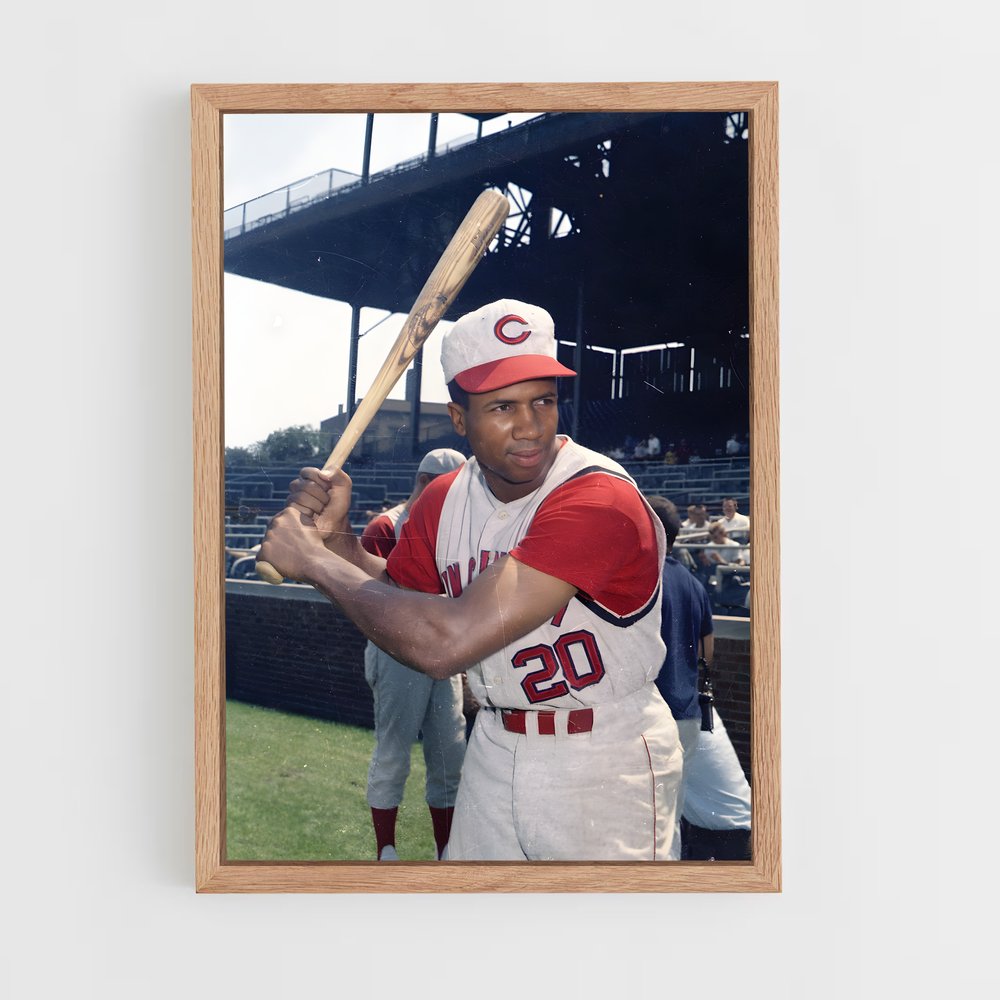 ap-frank robinson-2 cadre Bois clair