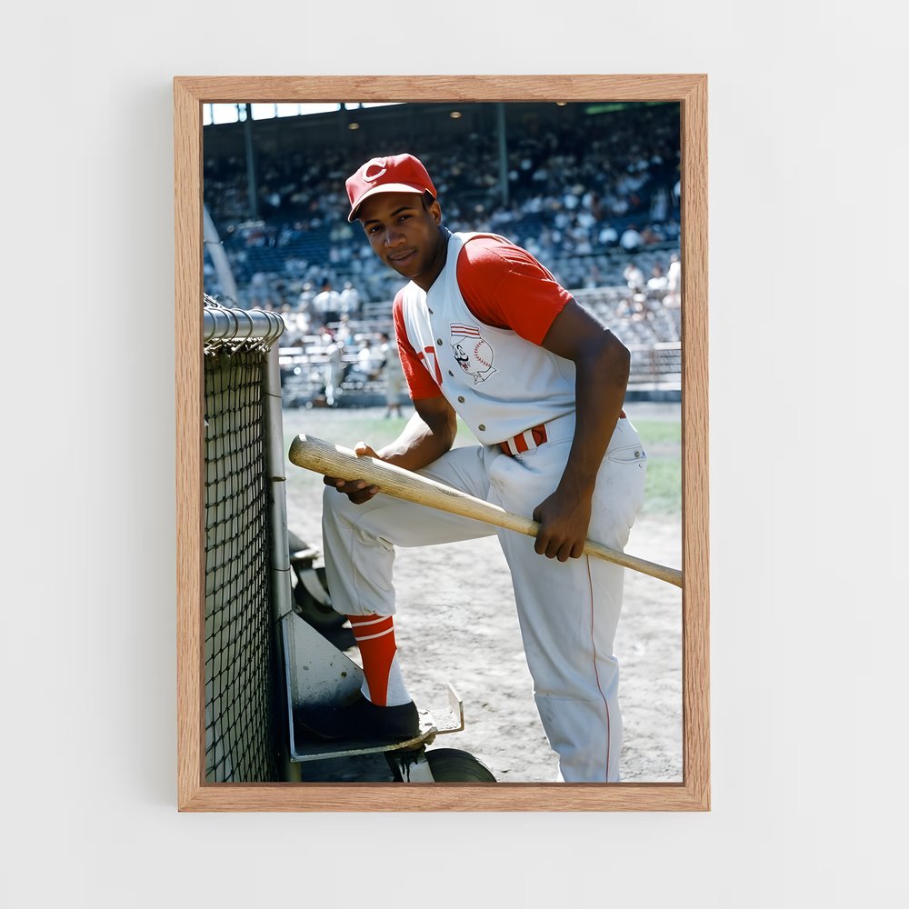 ap-frank robinson-3 cadre Bois clair