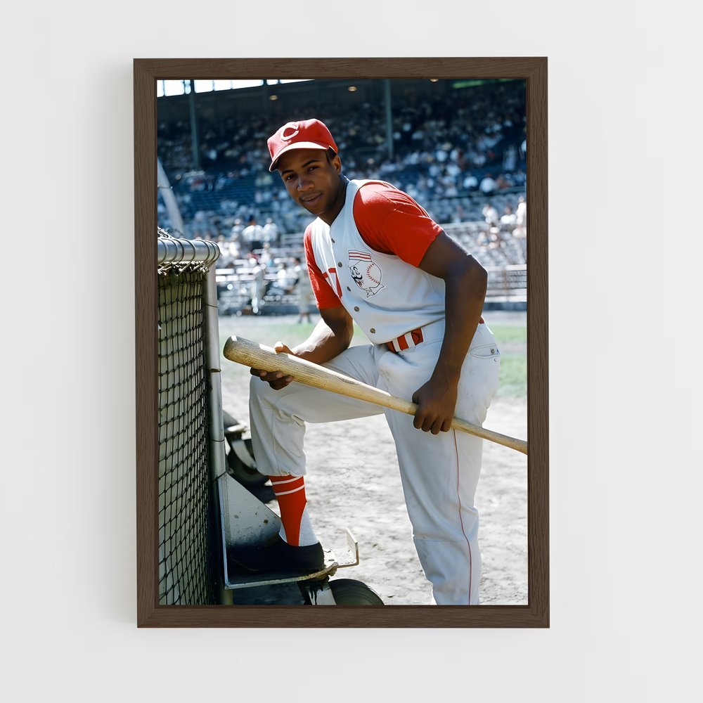 ap-frank robinson-3 cadre Bois foncé