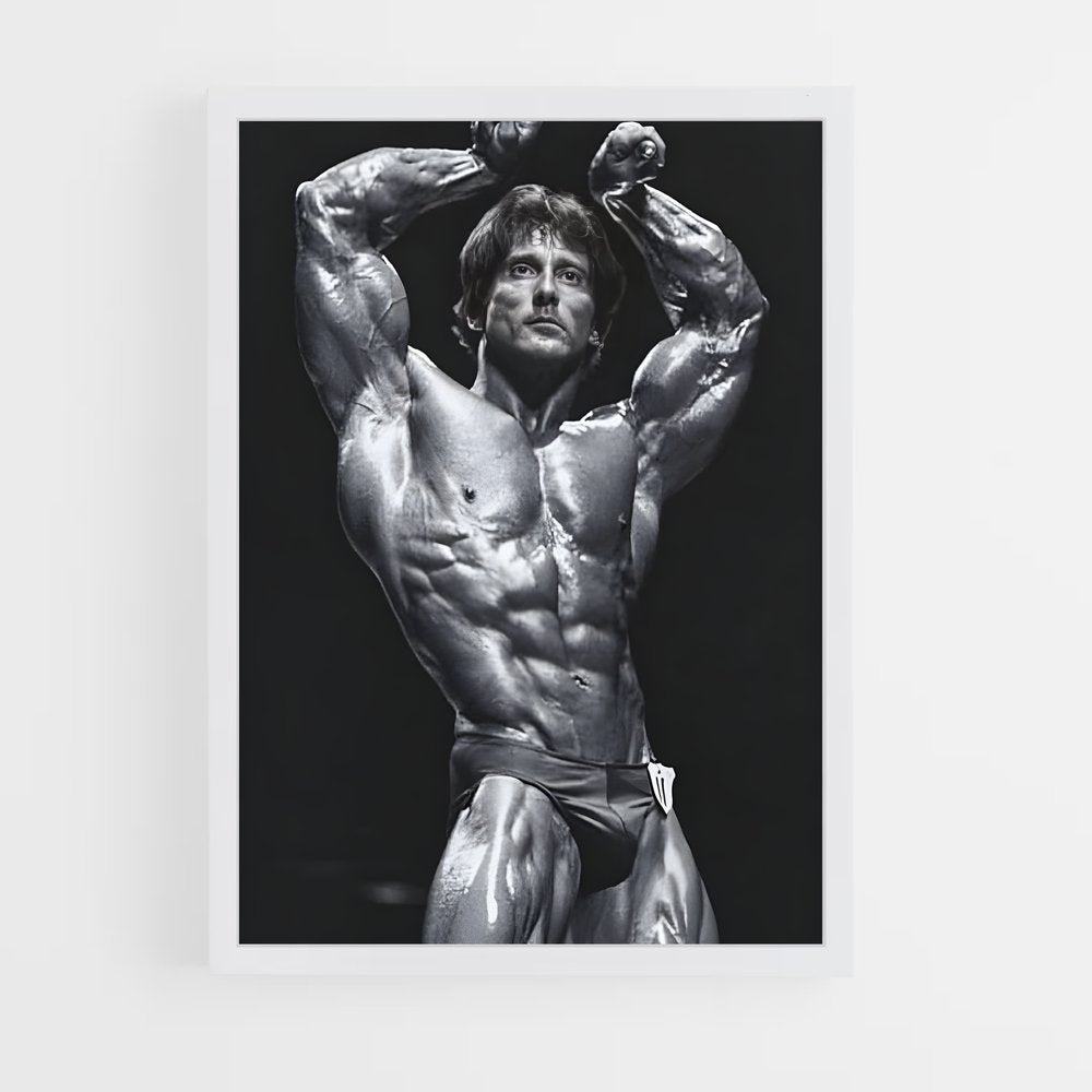 ap-frank zane-3 cadre Blanc