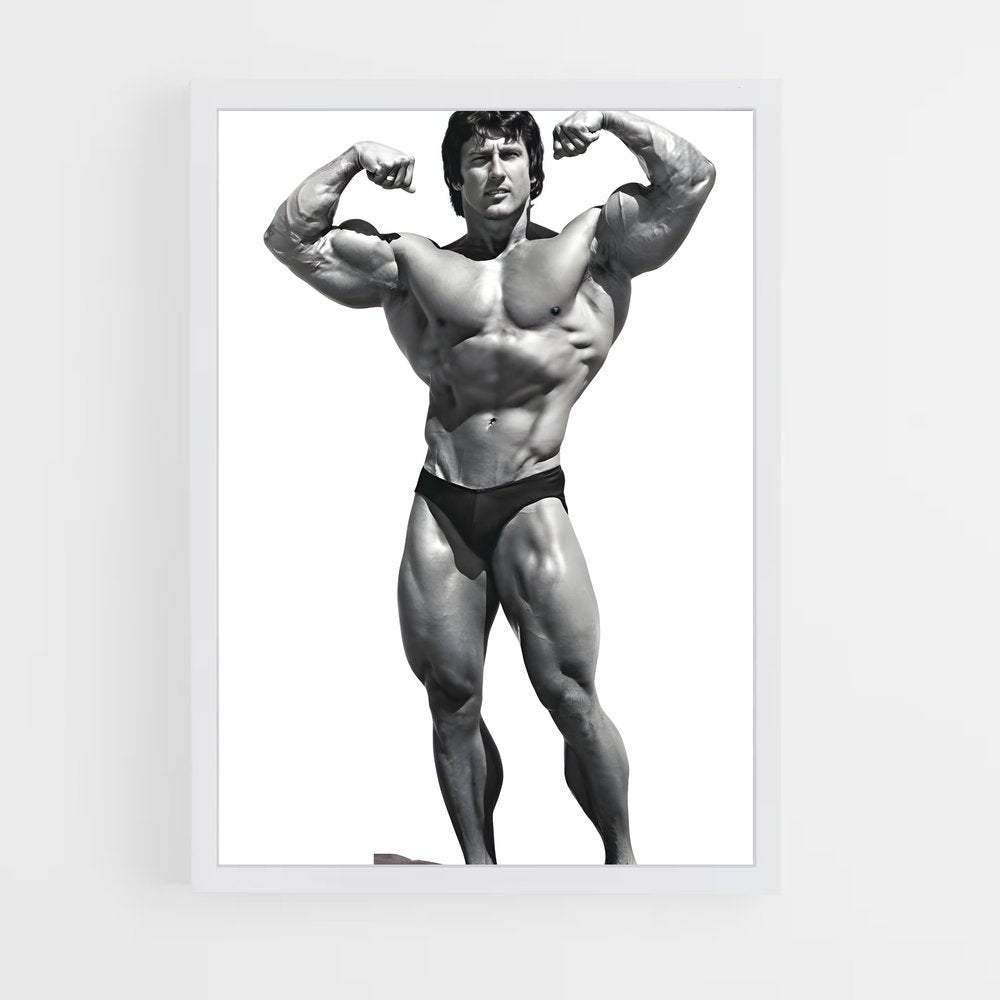 ap-frank zane-4 cadre Blanc