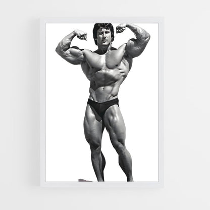 ap-frank zane-4 cadre Blanc