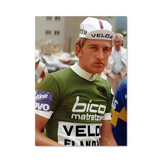 Poster Les Complices Verts
