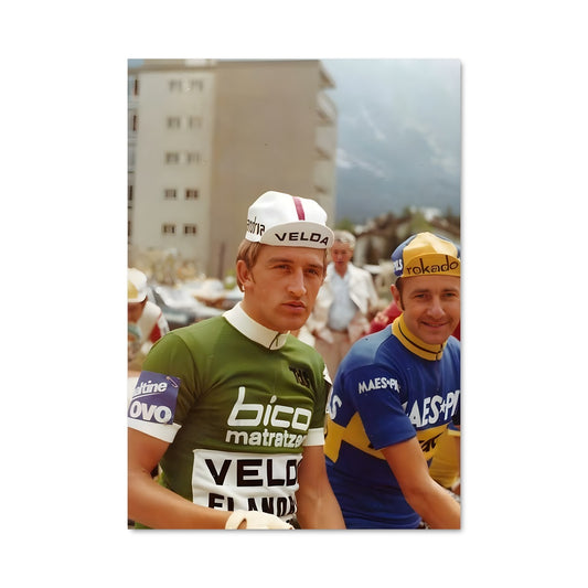 Poster Freddy maertens 65200