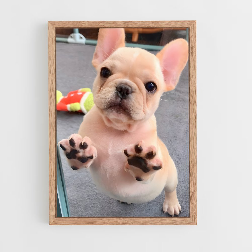 ap-french bulldog-1 cadre Bois clair