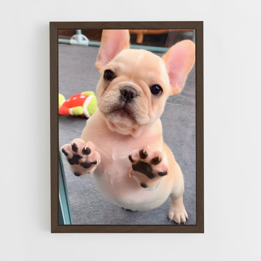 ap-french bulldog-1 cadre Bois foncé