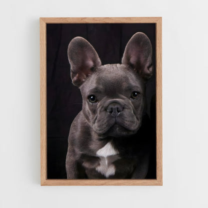 ap-french bulldog-3 cadre Bois clair