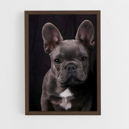 ap-french bulldog-3 cadre Bois foncé
