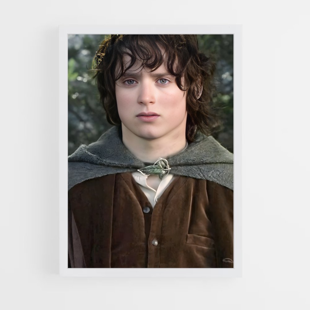 ap-frodo baggins-2 cadre Blanc