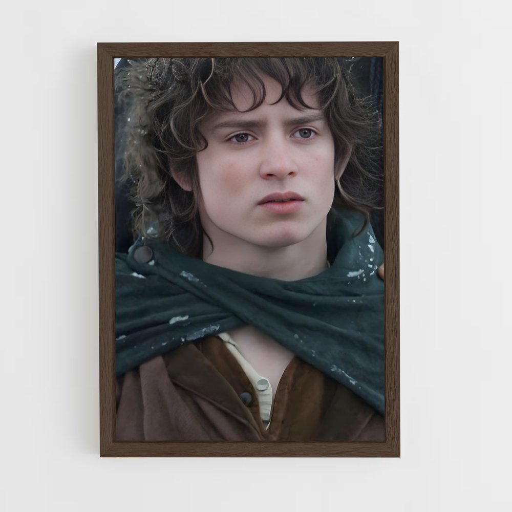 ap-frodo baggins-5 cadre Bois foncé