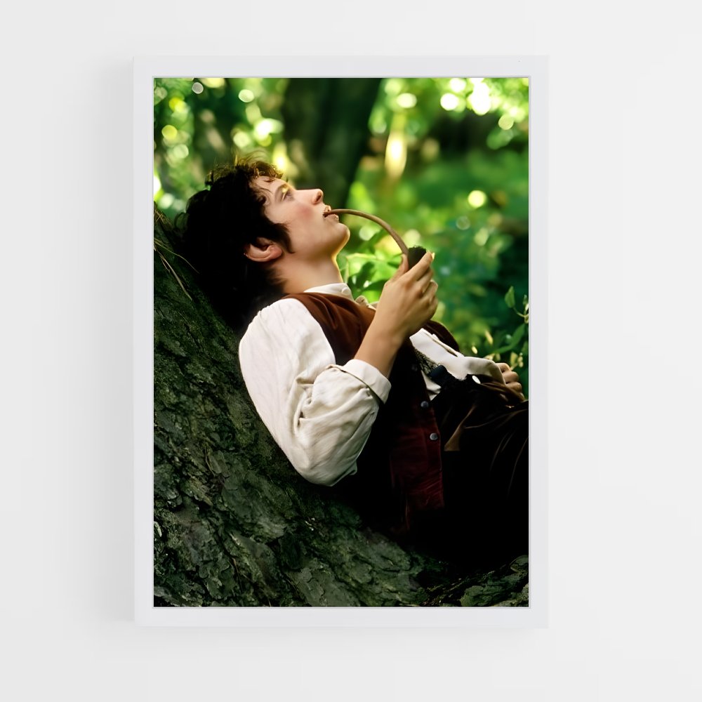 ap-frodo baggins-6 cadre Blanc