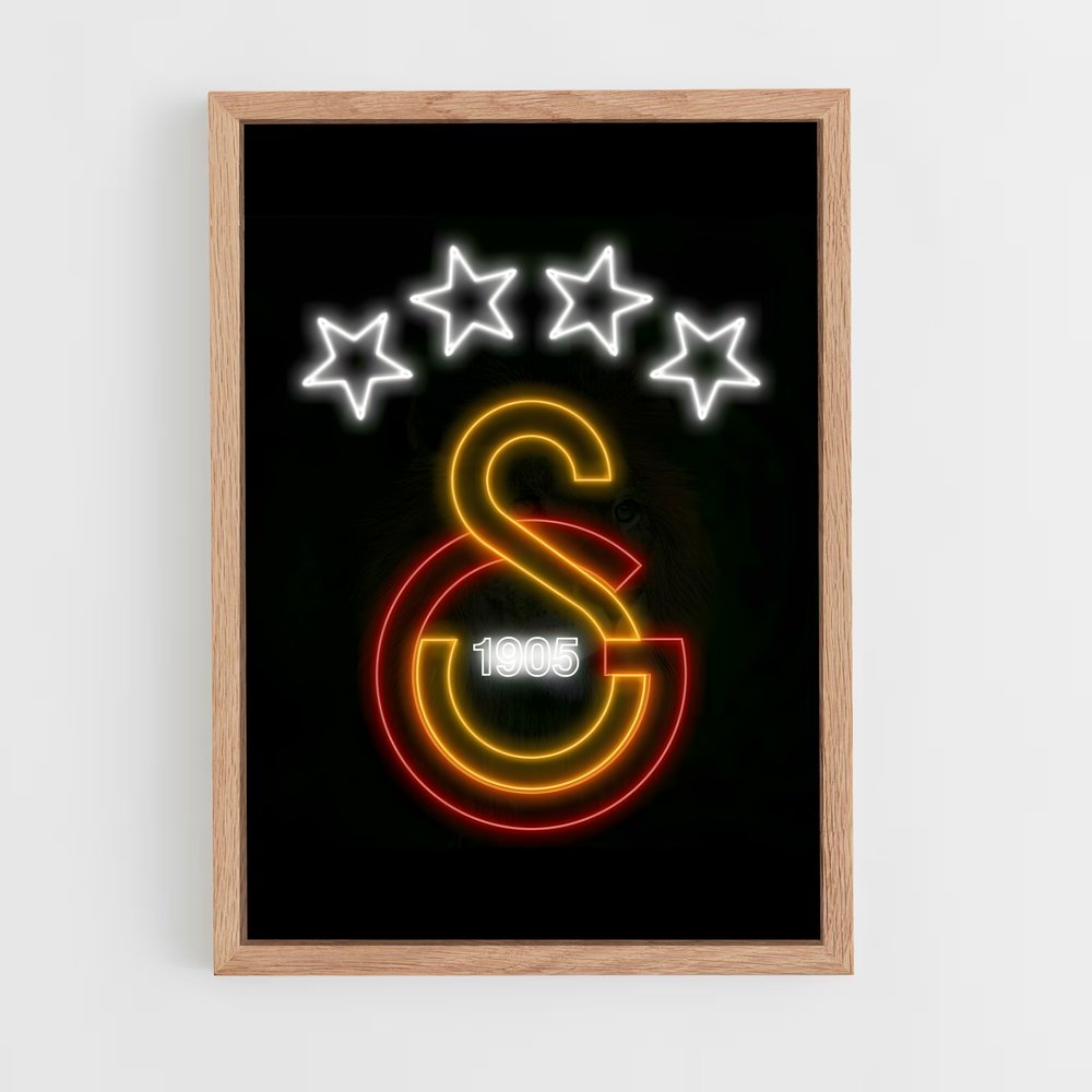 ap-galatasaray sk-14 cadre Bois clair