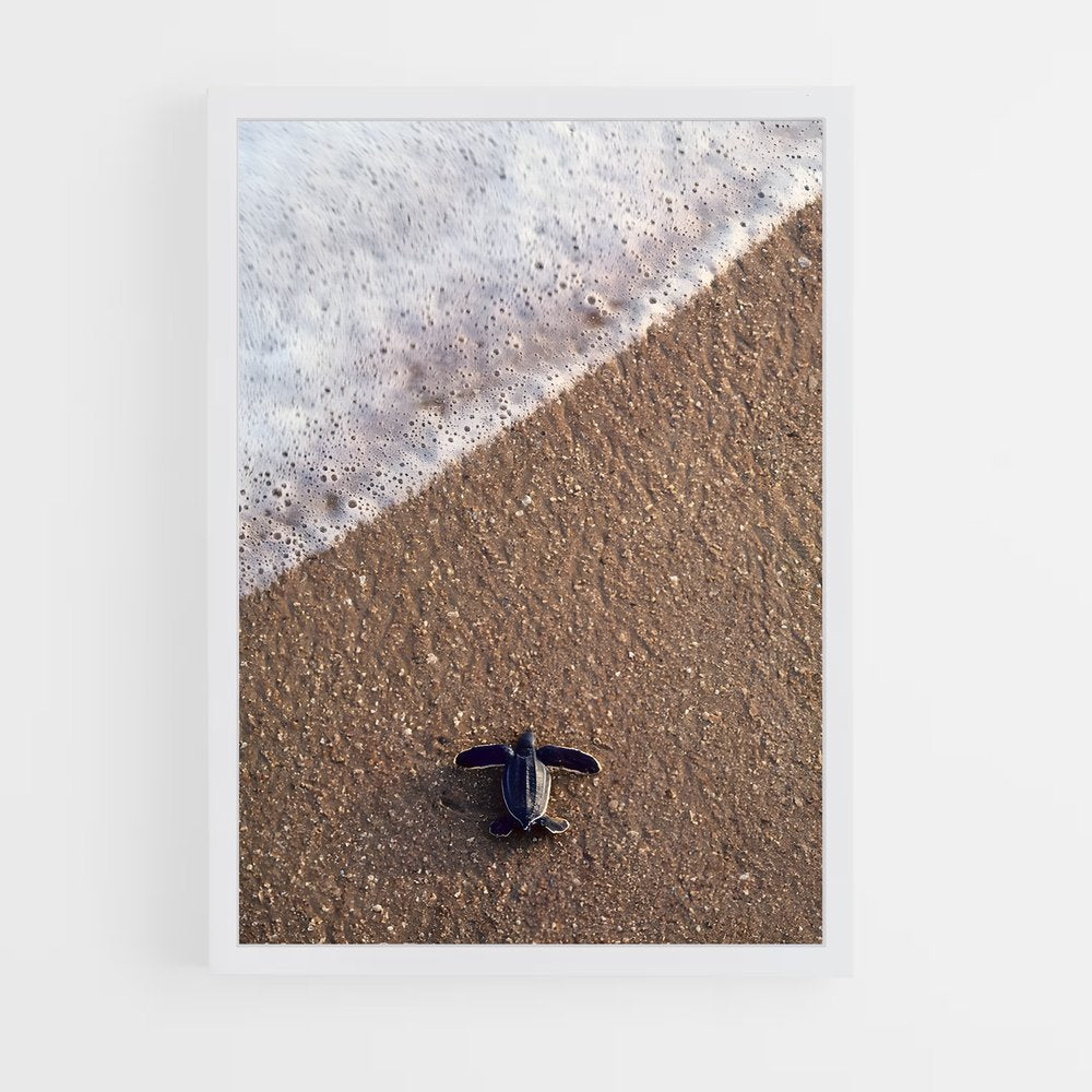 ap-galibi nature reserve-1 cadre Blanc