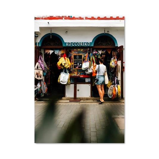 Poster Promenade à Koko