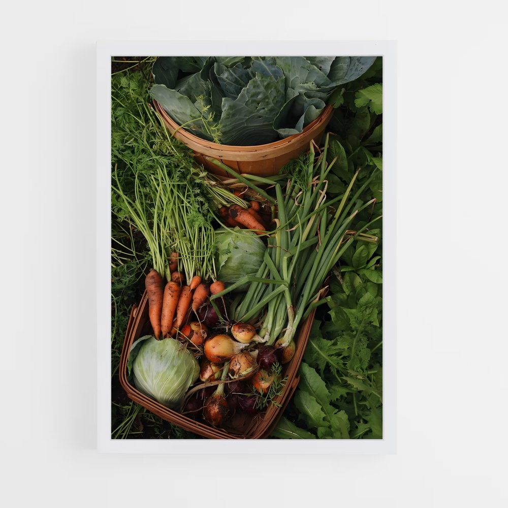 ap-garden-17 cadre Blanc