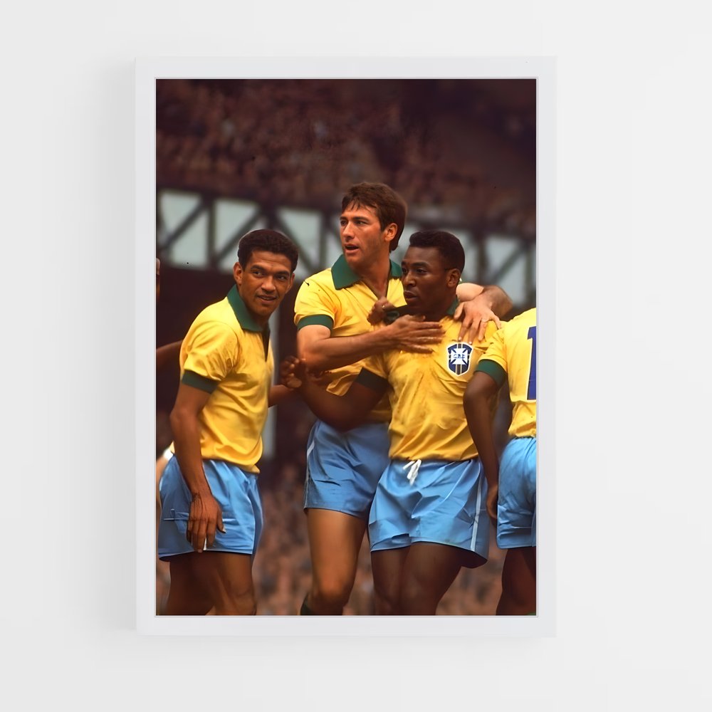 ap-garrincha-3 cadre Blanc