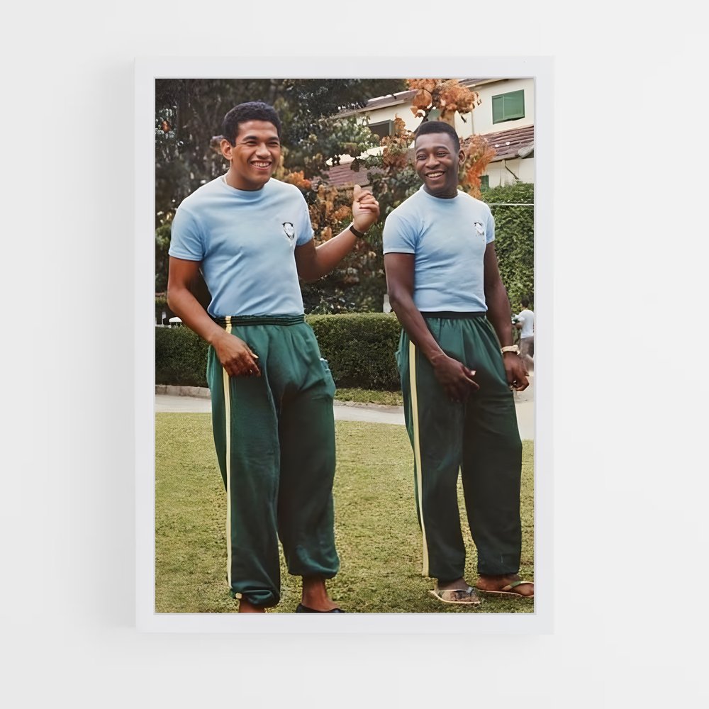 ap-garrincha-5 cadre Blanc