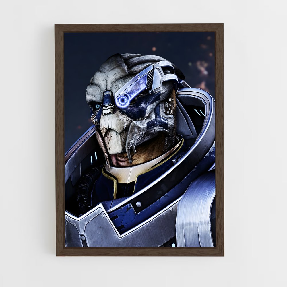 ap-garrus-1 cadre Bois foncé