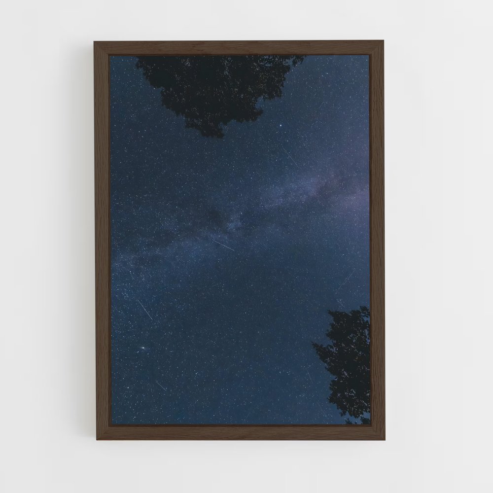 ap-geminids-1 cadre Bois foncé