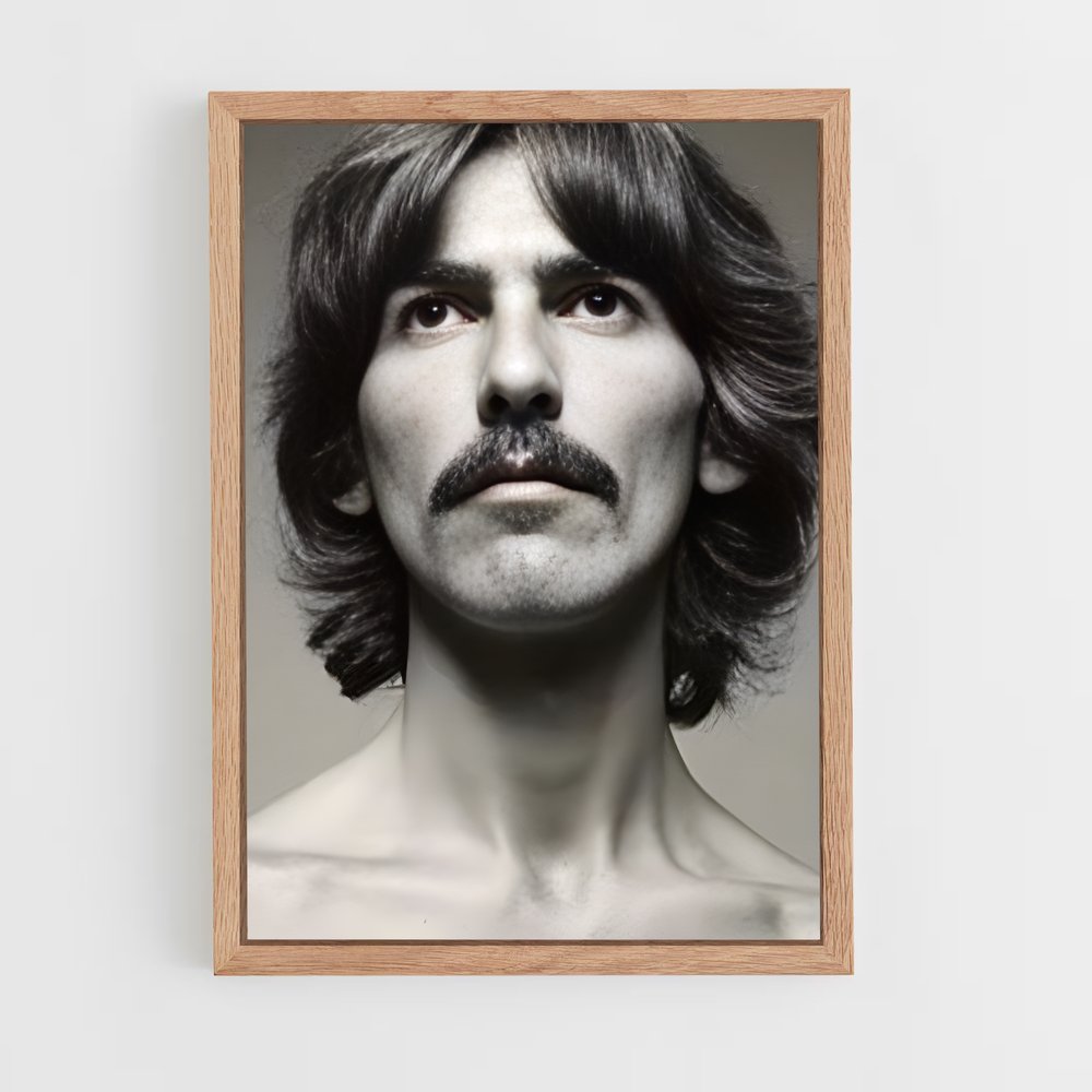 ap-george harrison-3 cadre Bois clair