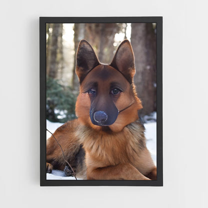 ap-german shepherd-5 cadre Noir