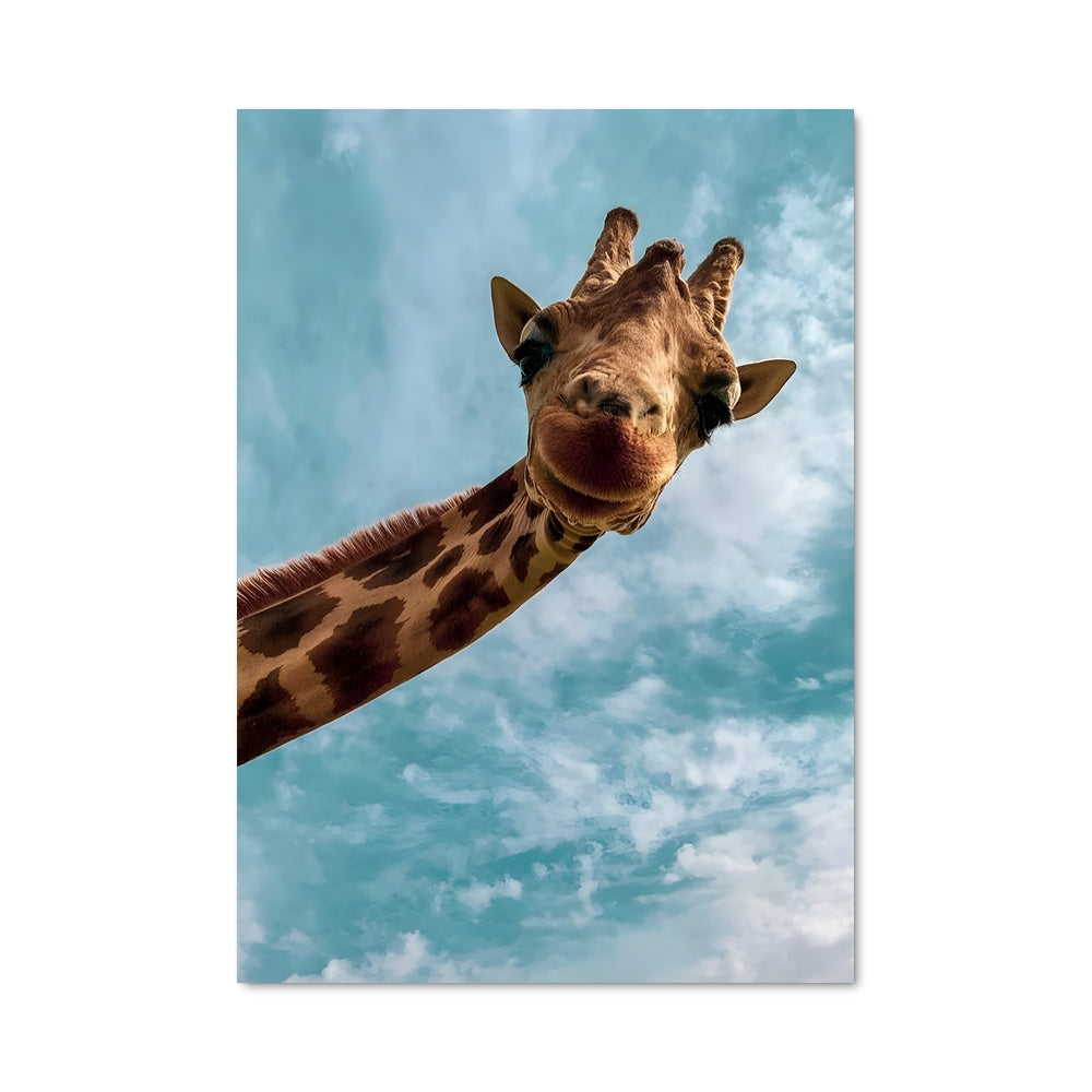 Poster Girafe Astrale